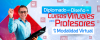 Diplomado en Dise&ntilde;o de Cursos Virtuales para profesores de la modalidad virtual